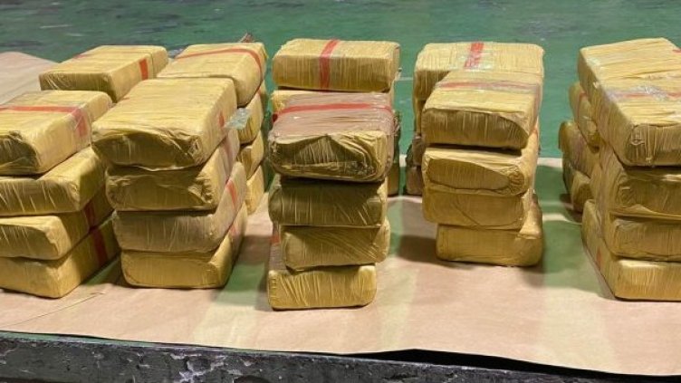 Снимка: БГНЕС, архив