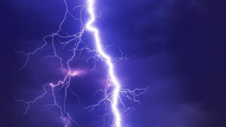 Снимка: Pixabay