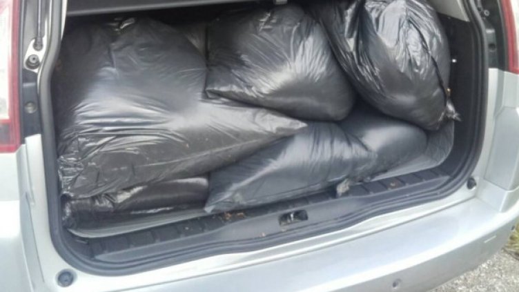 Снимка: БГНЕС, архив