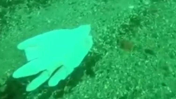 Снимка: Bulgaria ON AIR