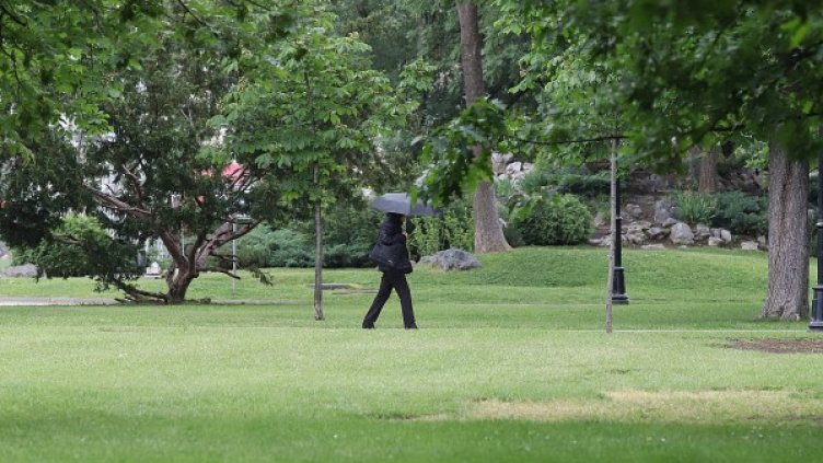 Снимка: архив, БГНЕС