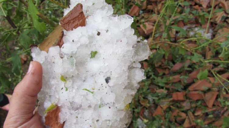 Снимка: БГНЕС, архив