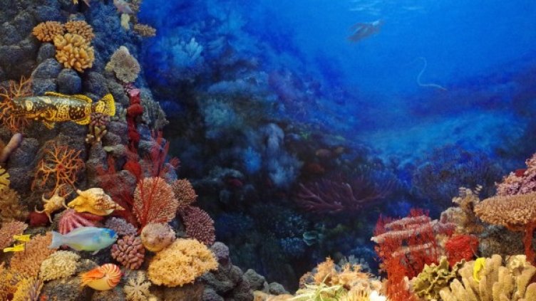 Снимка: Pixabay