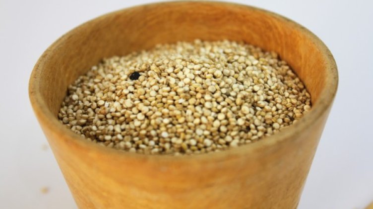 Снимка: Pixabay