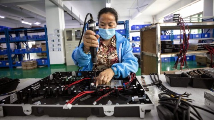 Снимка: БГНЕС