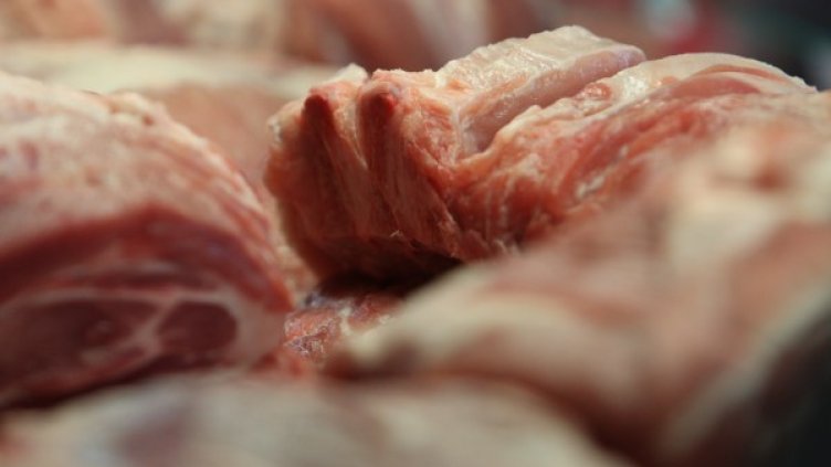 Снимка:  БГНЕС