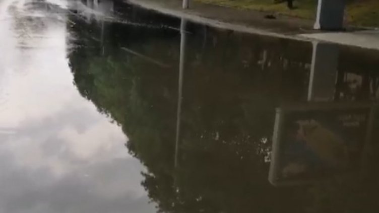 Снимка: БГНЕС, архив