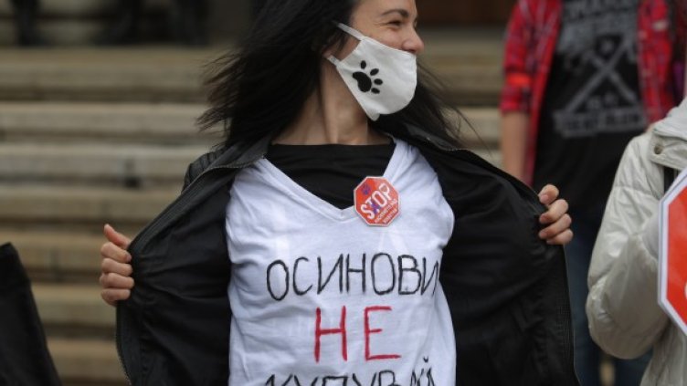 Снимка: Димитър Кьосемарлиев