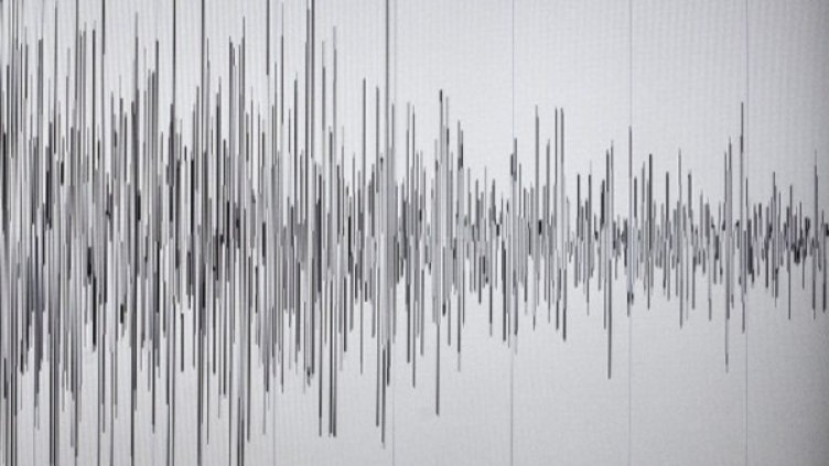 Земетресение от 5,5 по Рихтер разлюля Филипините