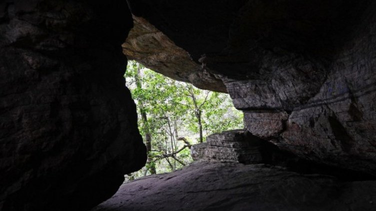 Снимка: Pixabay