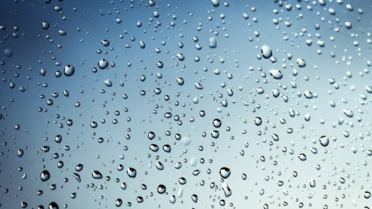 Снимка: Pixabay