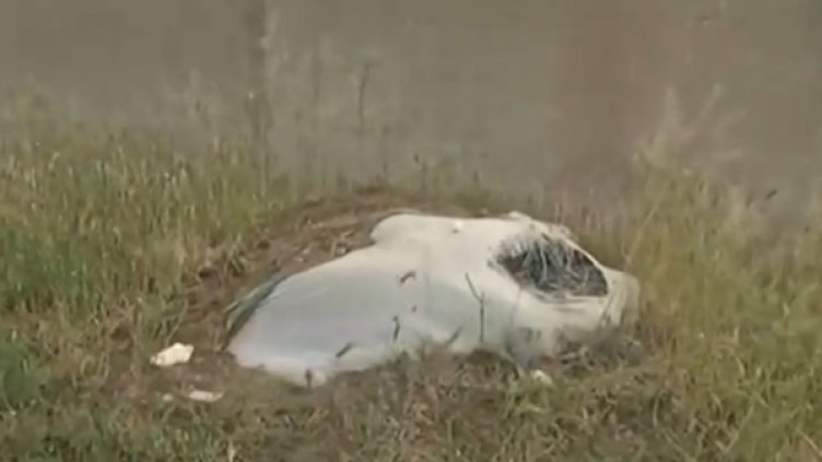 Снимка: Нова тв