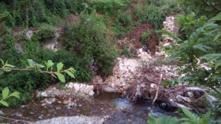 Снимка: HelpBook