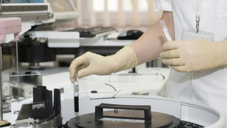 Снимка: Pixabay