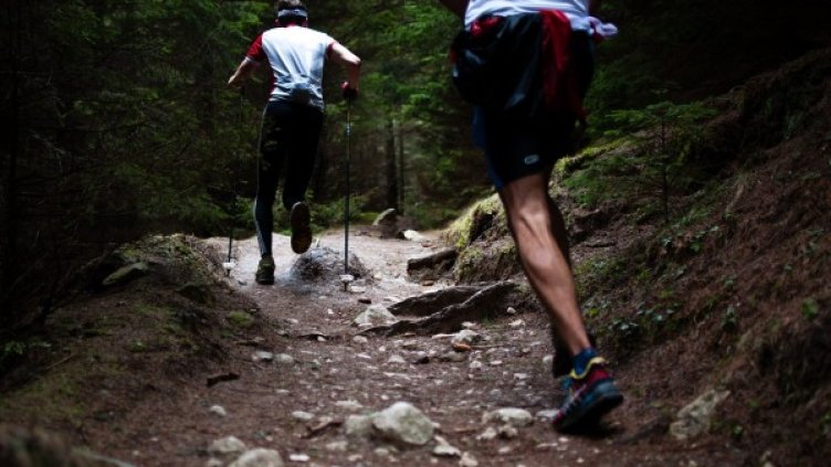 Източник: Pixabay.com