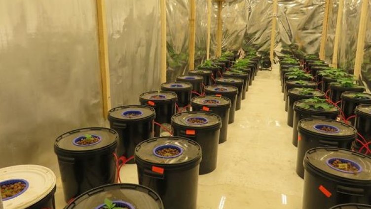 Снимка: Pixabay