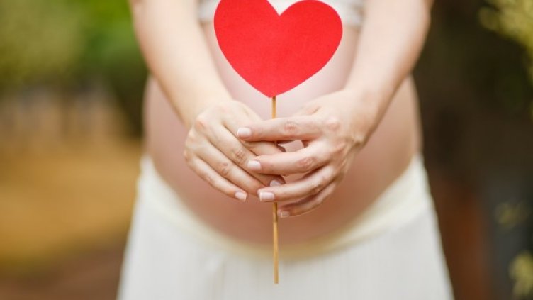 Снимка: Pixabay