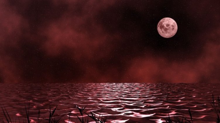 Снимка: Pixabay