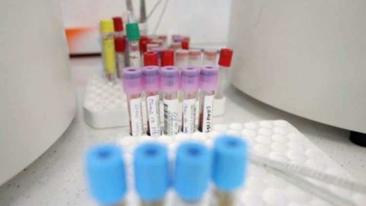 Снимка:Димитър Кьосемарлиев, Dnes.bg