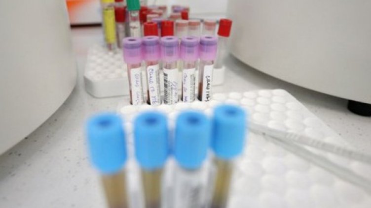 Снимка: Димитър Кьосемарлиев