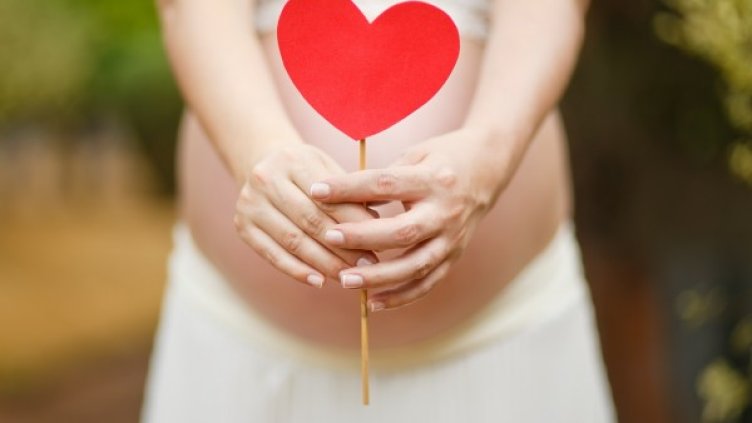 Снимка: Pixabay