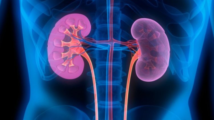 Снимка: Istock