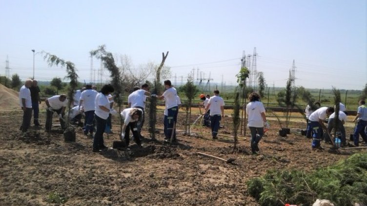 Снимка: БГНЕС