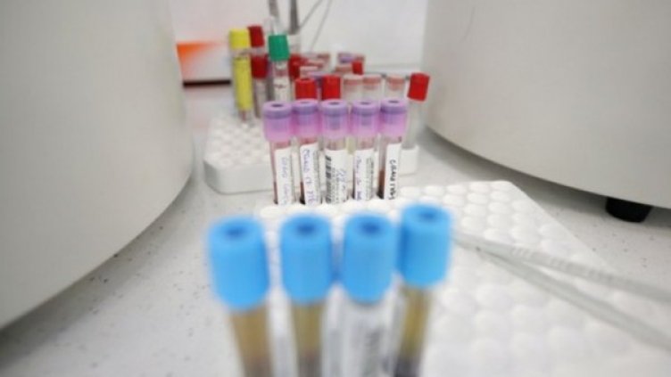 Снимка:Димитър Кьосемарлиев, Dnes.bg