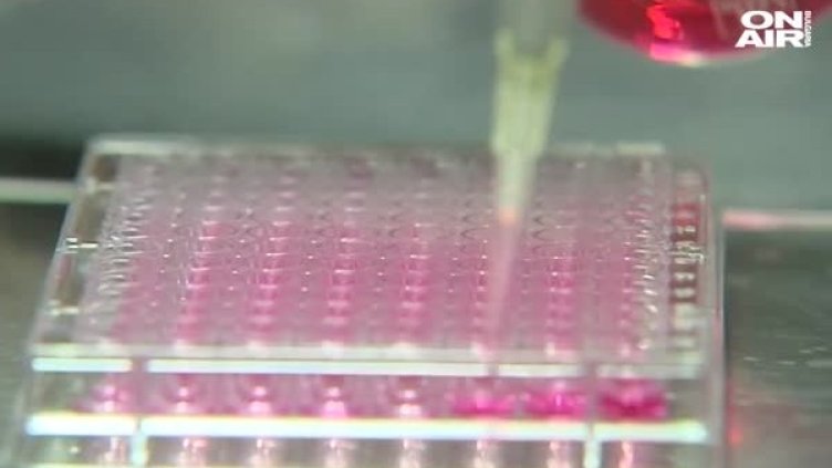 Кадър: Bulgaria ON AIR