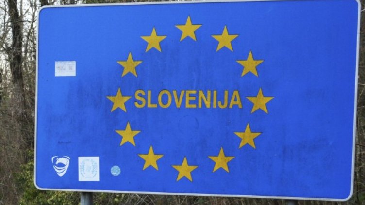 Снимка: архив, БГНЕС