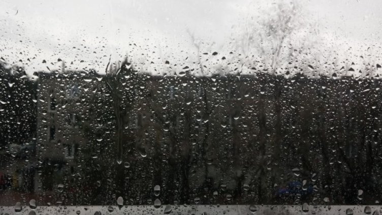 Снимка: Pixabay