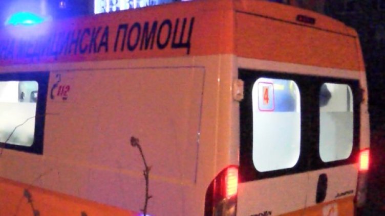 Снимка: БГНЕС, архив