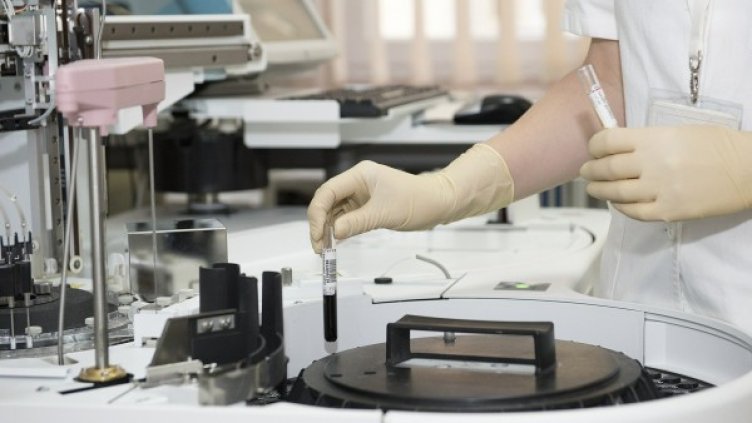 Снимка: Pixabay