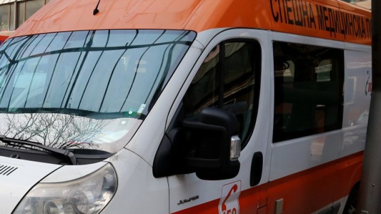 Снимка: архив, БГНЕС