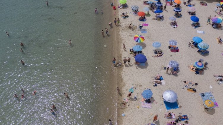 Снимка: БГНЕС