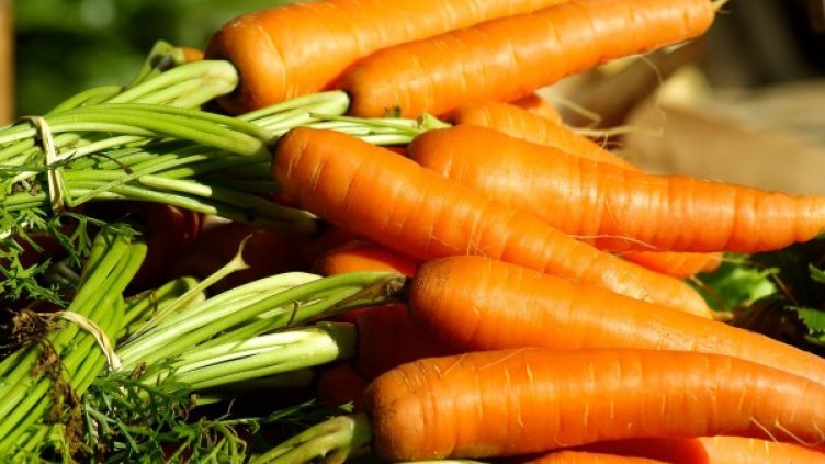 Снимка: Pixabay