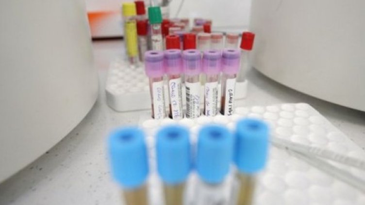 Снимка:Димитър Кьосемарлиев, Dnes.bg