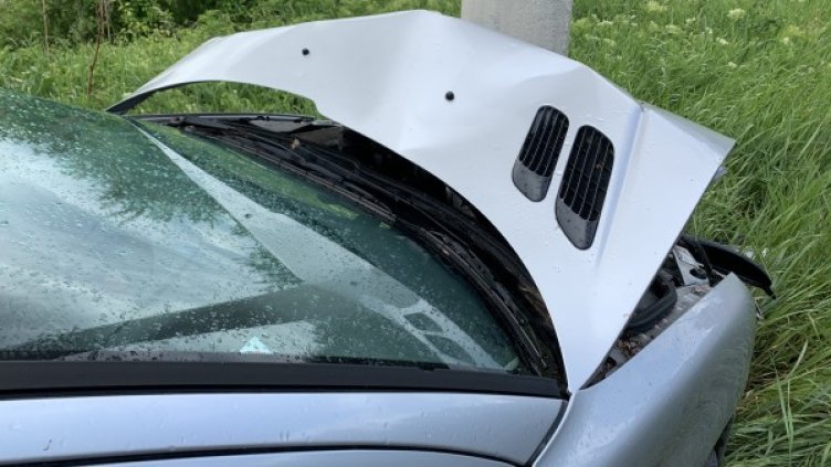 Снимка: архив, БГНЕС