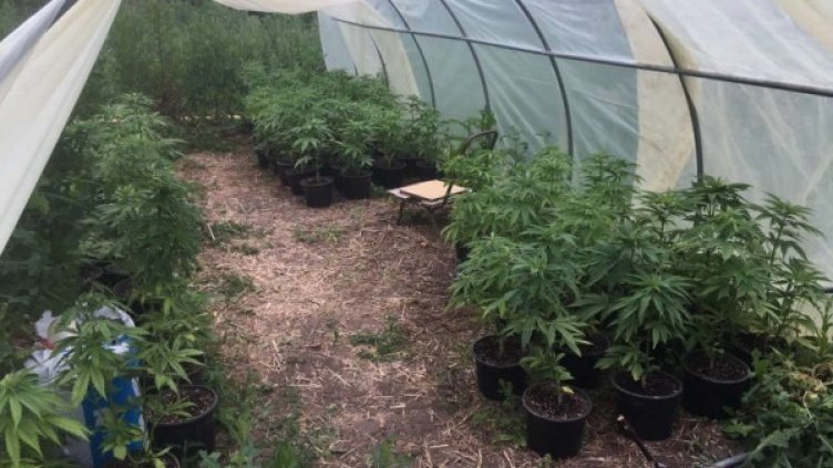 Снимка: МВР