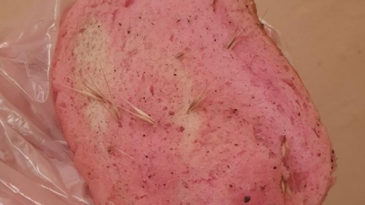 Снимка: в. Монитор