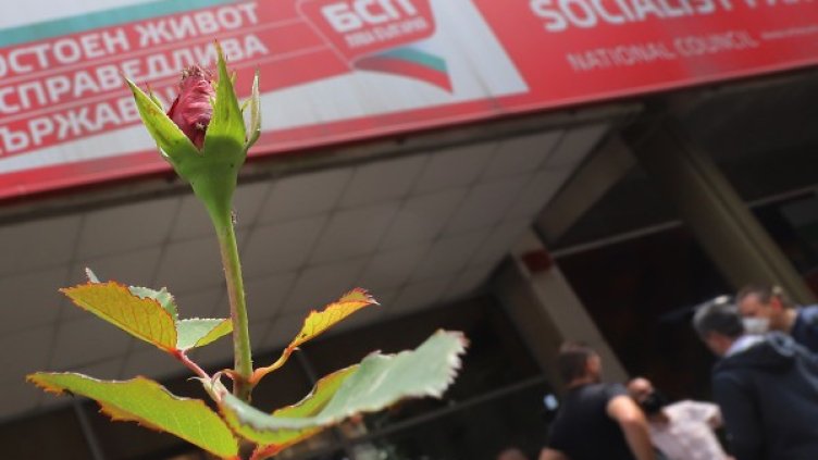 Снимка: БГНЕС