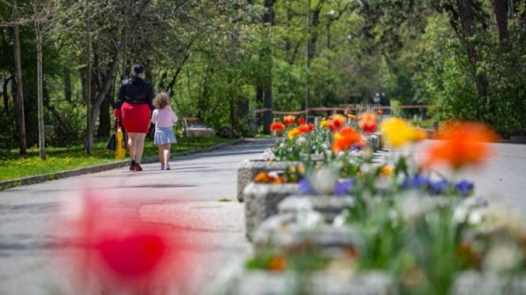 Снимка: Димитър Кьосемарлиев, Dnes.bg