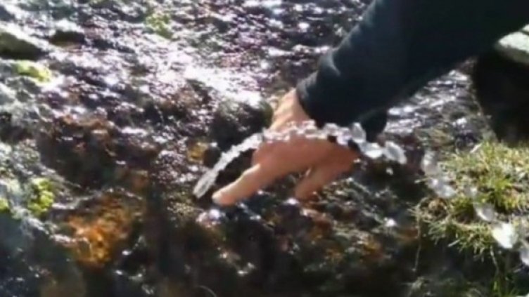 Снимка: Кирил Фалин