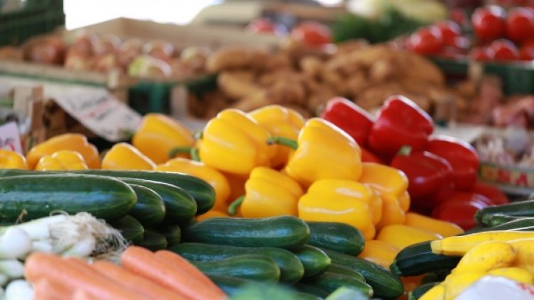 Снимка: Pixabay