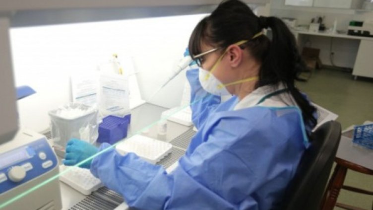 Снимка:Димитър Кьосемарлиев, Dnes.bg