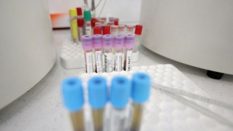 Снимка: Димитър Кьосемарлиев