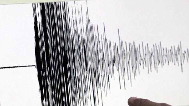 Снимка: архив, БГНЕС