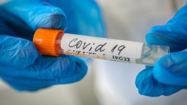 Снимка:Димитър Кьосемарлиев, Dnes.bg