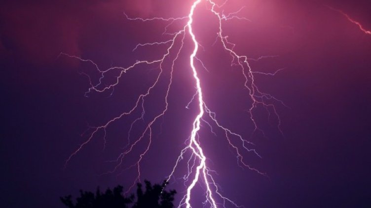 Снимка: Pixabay