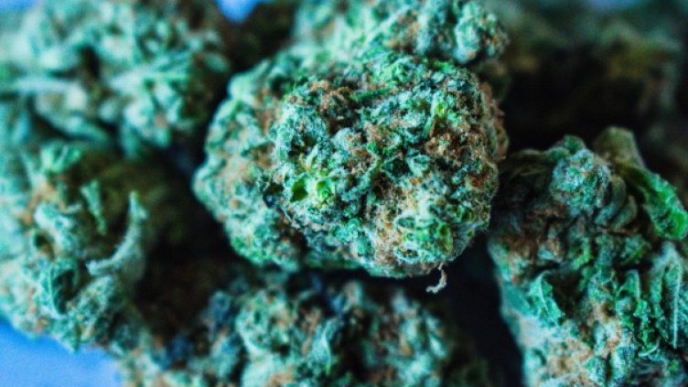 Снимка: Pixabay